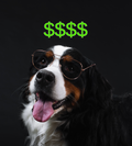 Gift Card for Dog Stuff